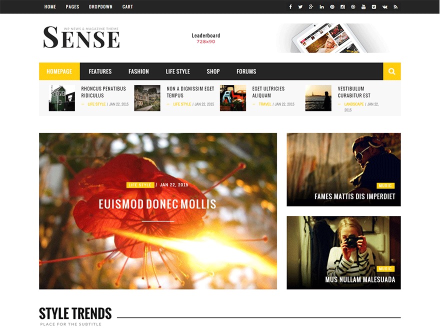 Sensetheme | Shared By Themes24x7.com WordPress news theme