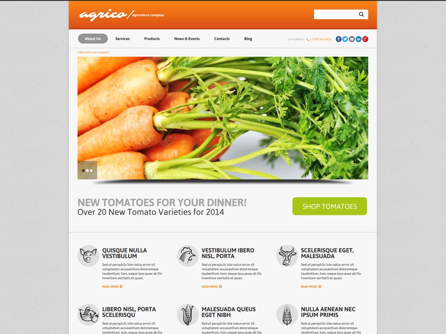 Theme WordPress theme50863 Theme WordPress theme50863
