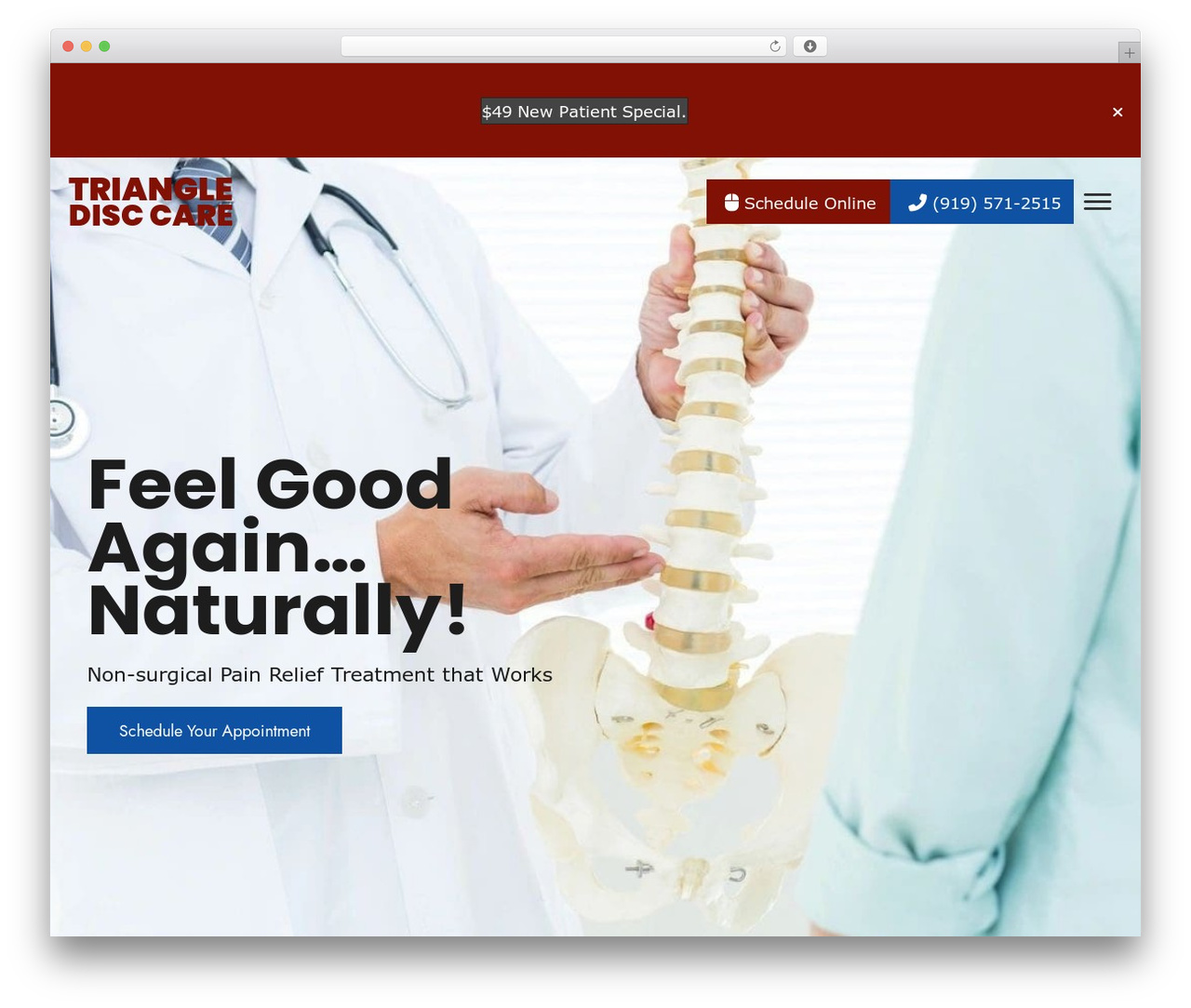 WordPress theme Beaver Builder Theme - triangledisc.com