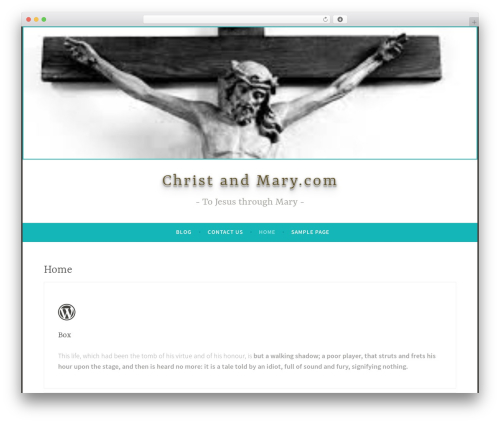 Tailor Page Builder (tailor) free WordPress plugin - christandmary.com