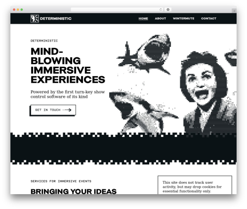 Deterministic top WordPress theme - deterministic.ltd