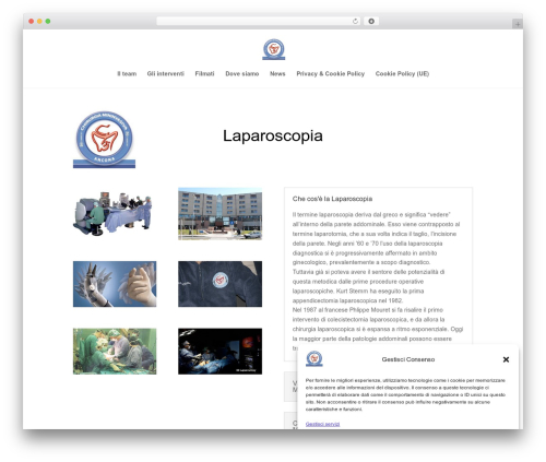 Divi WordPress theme design - laparoscopia.info