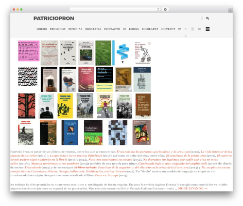 Engo WordPress theme - patriciopron.com