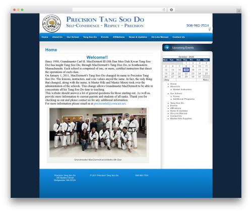 intrepidity WordPress theme - precisiontangsoodo.com