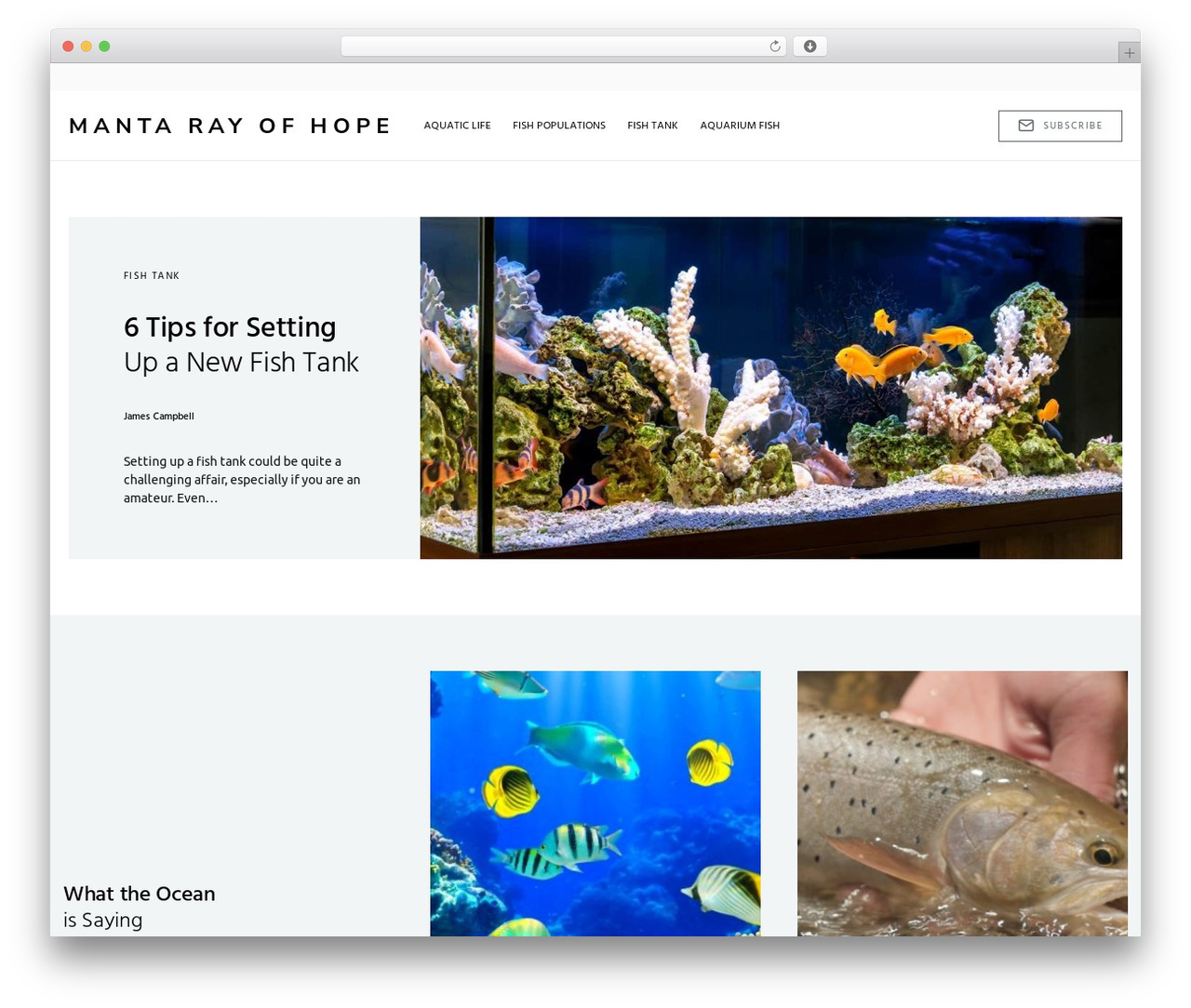Once Child theme WordPress - mantarayofhope.com