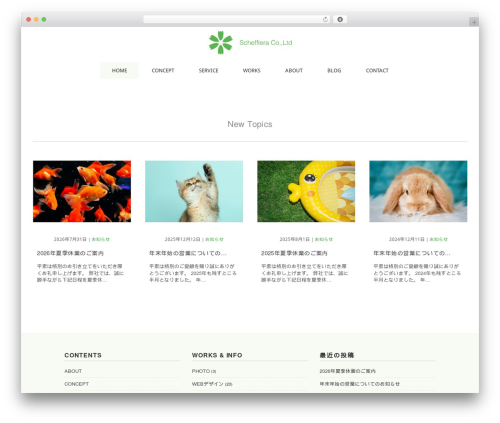 Schefflera WordPress theme - schefflera.net