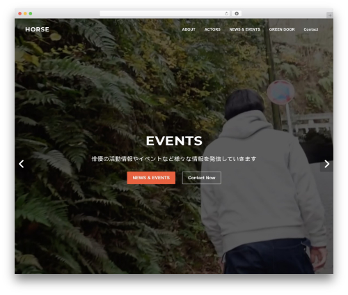 Screenr plus WordPress plugin - horse-prod.site
