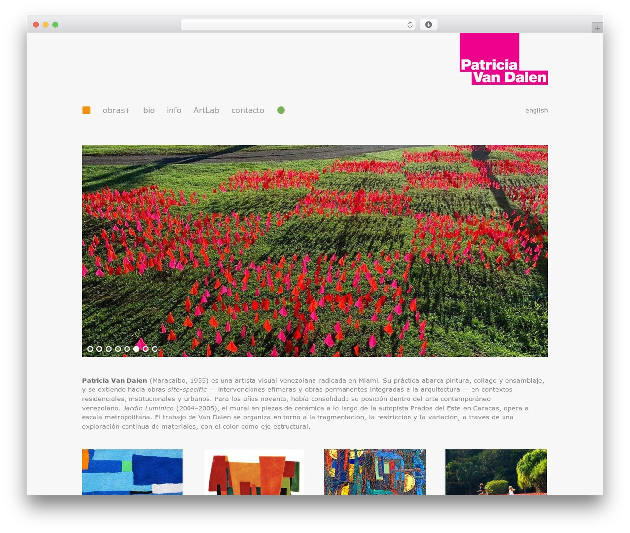 WordPress theme Evolution - patriciavandalen.com/es WordPress theme Evolution - patriciavandalen.com/es