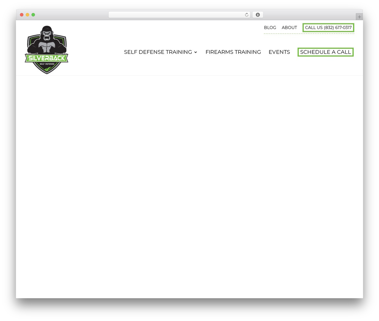 WordPress theme Silverback - silverback-selfdefense.com