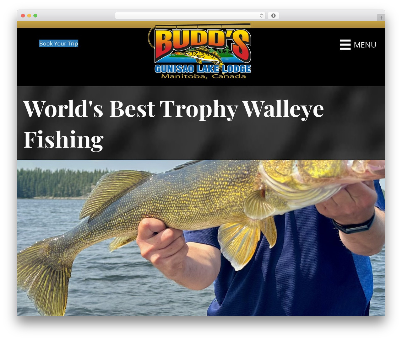Beaver Builder Theme WordPress theme - walleyemanitoba.com Beaver Builder Theme WordPress theme - walleyemanitoba.com