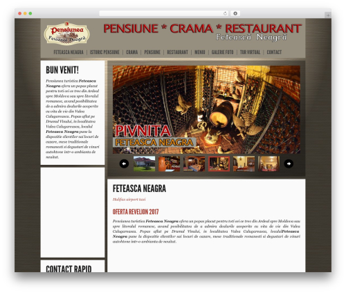 Big Easy WordPress theme - pensiuneafeteascaneagra.ro