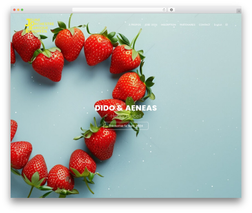 BlackSilver premium WordPress theme - jobe.info