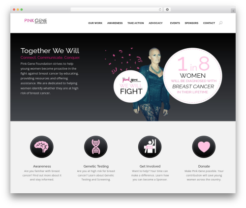 Wordpress social stream WordPress plugin - pinkgenefoundation.org