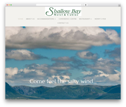 Divi top WordPress theme - shallowbaymotel.com