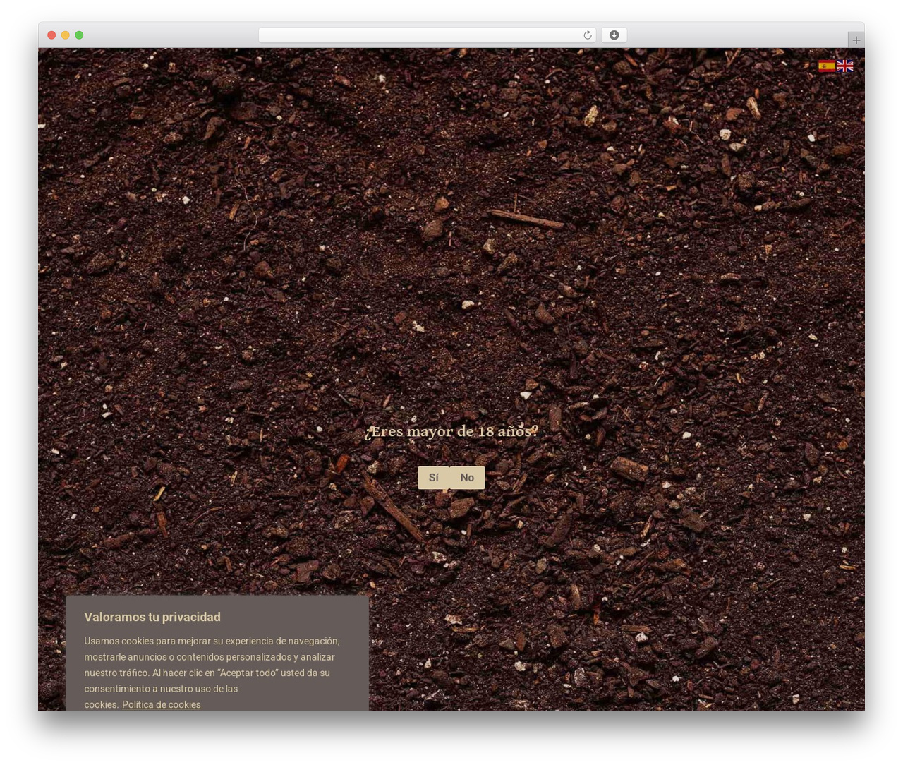 Divi Child WordPress theme - yalmapremium.com