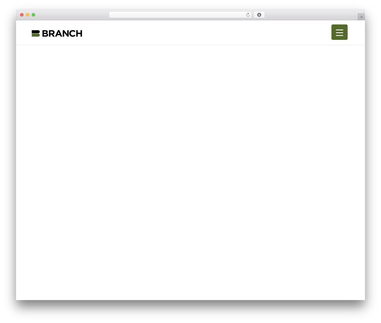 Branch Group 2023 WordPress theme - branchgroup.com