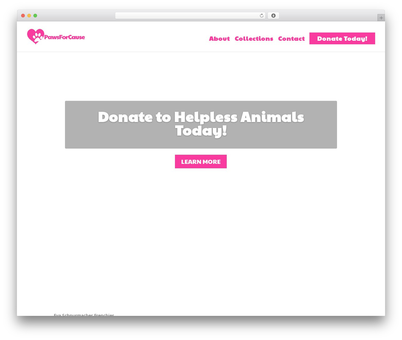 Divi WordPress theme - pawsforcause.love Divi WordPress theme - pawsforcause.love