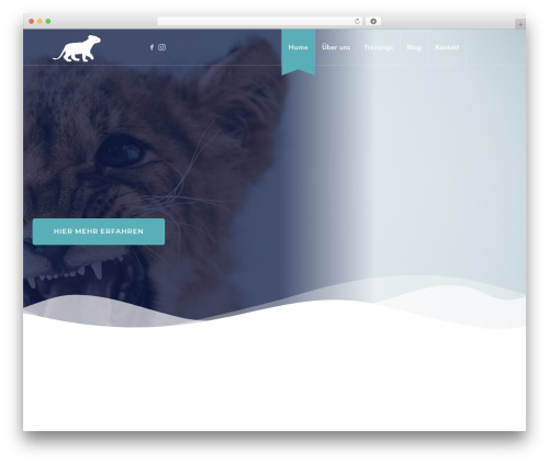 Pixelwars core shortcodes WordPress plugin - starkmacher.training