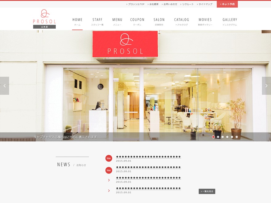 prosol WordPress theme