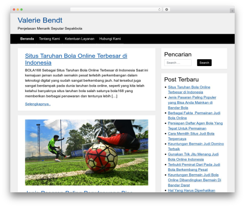 Stp Accessibility premium WordPress theme - valeriebendt.com