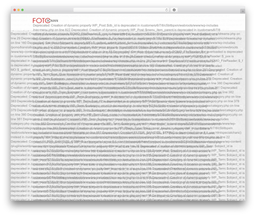 Theme WordPress Cesar - foto-roman.eu
