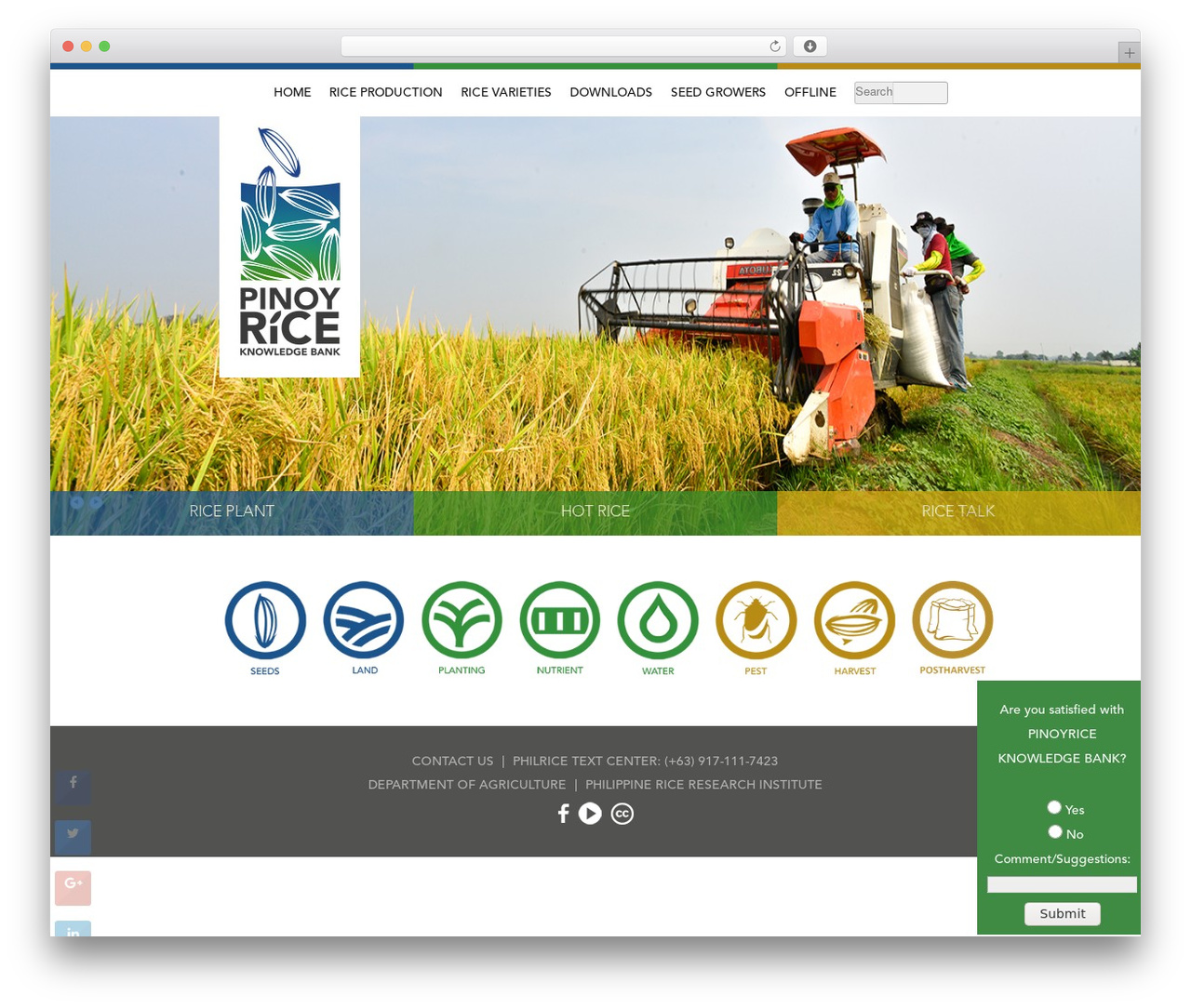 Thesis WordPress website theme - pinoyrice.com Thesis WordPress website theme - pinoyrice.com