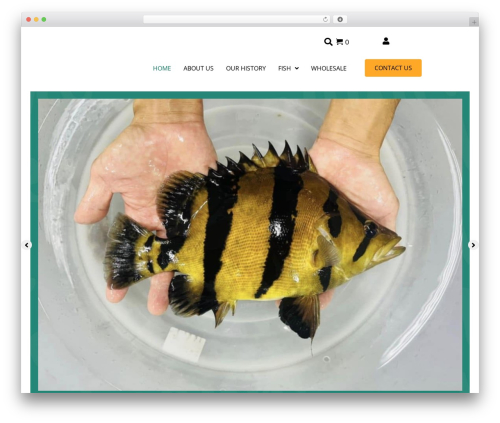 Quick View WooCommerce (quick-view-woocommerce) free WordPress plugin - onlinetropicalfish.com Quick View WooCommerce (quick-view-woocommerce) free WordPress plugin - onlinetropicalfish.com