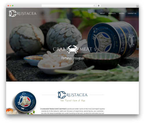 Easy Customizable Text Widget (easy-customizable-text-widget) free WordPress plugin - crustaceacorp.com