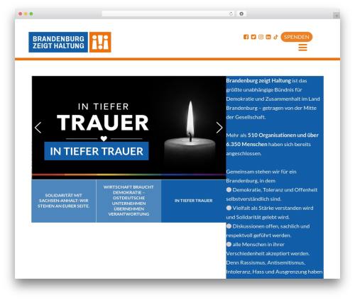 Double opt in WordPress plugin - brandenburg-zeigt-haltung.de