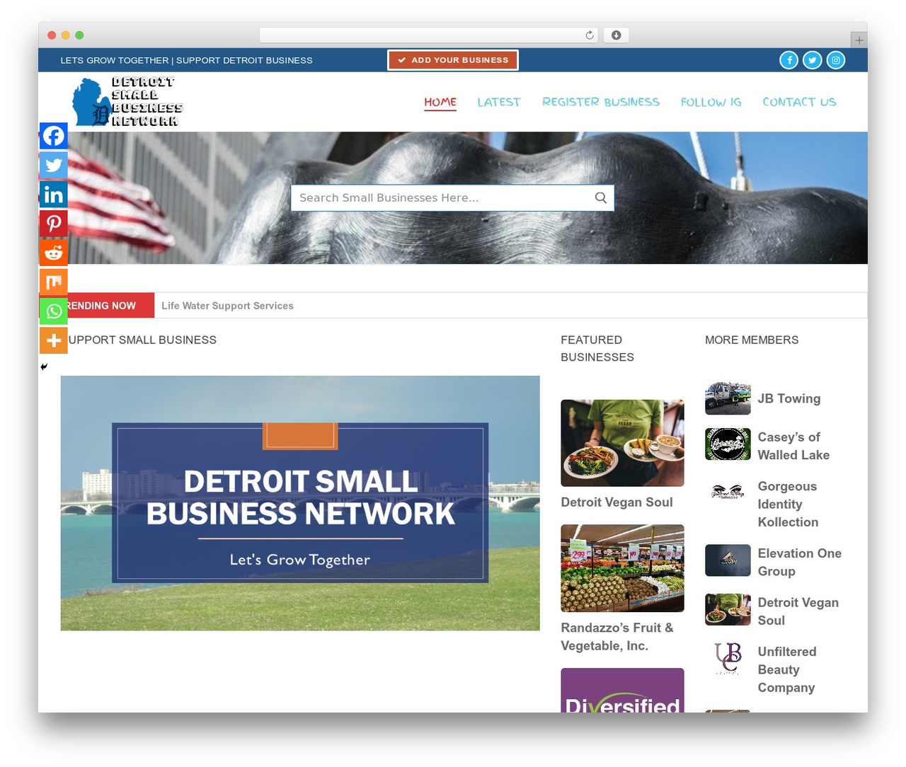 Customify WordPress theme design - detroitsmallbusinessnetwork.com