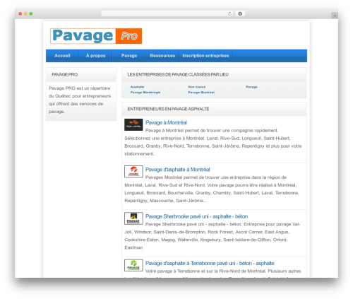 directorypress WordPress theme - pavagepro.com