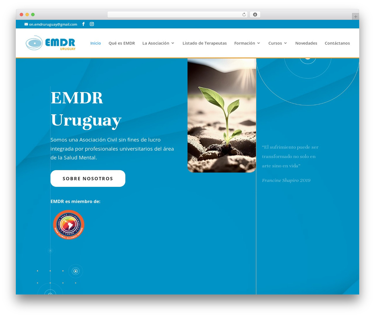 Divi WordPress theme - emdruruguay.org.uy Divi WordPress theme - emdruruguay.org.uy