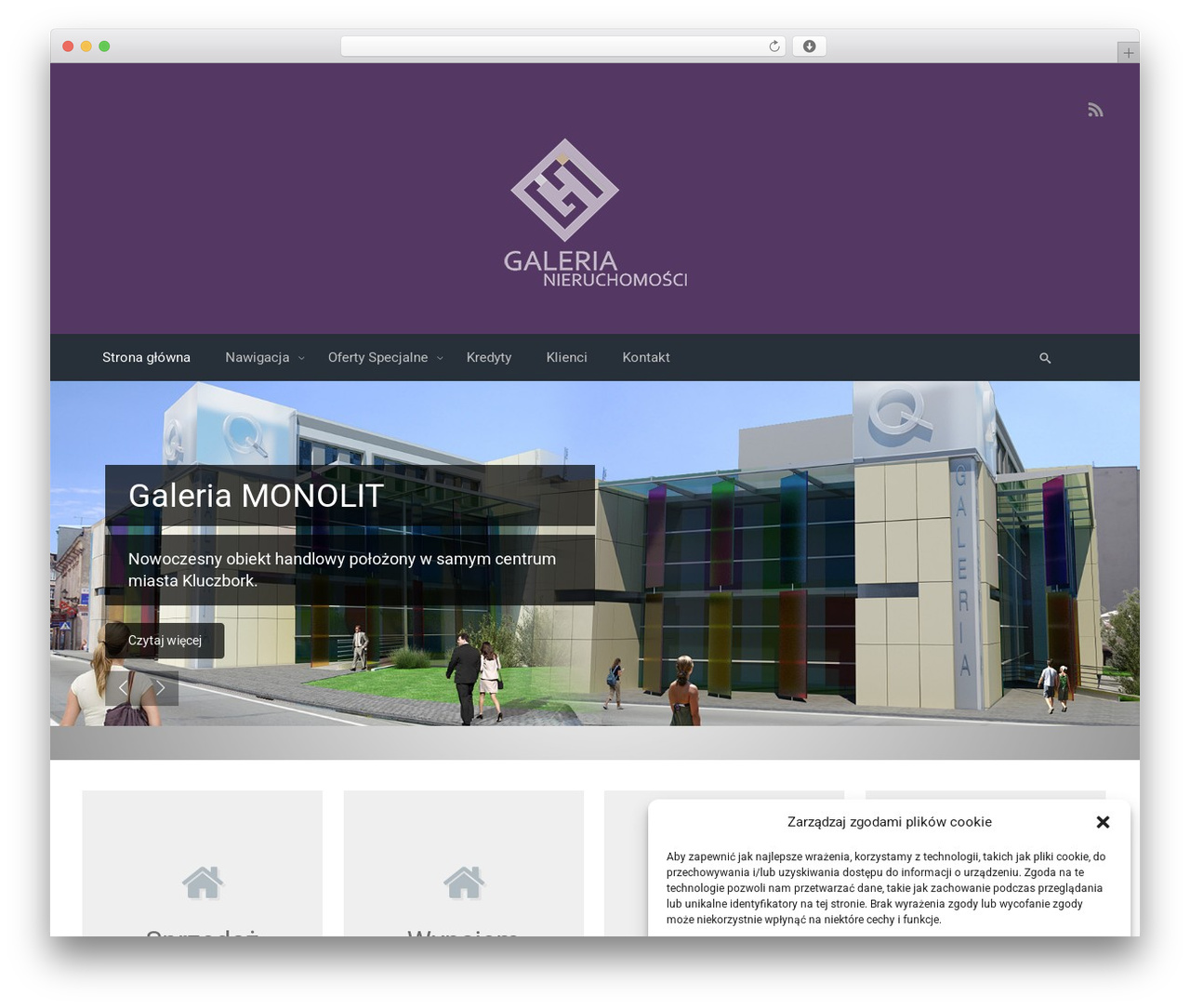 evolve free WordPress theme - n-galeria.pl
