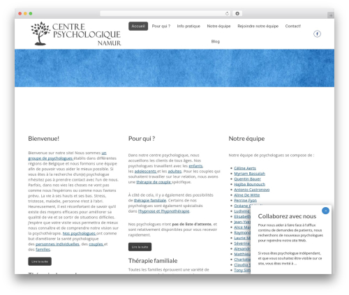 The7 WordPress theme - centre-psychologique-namur.be