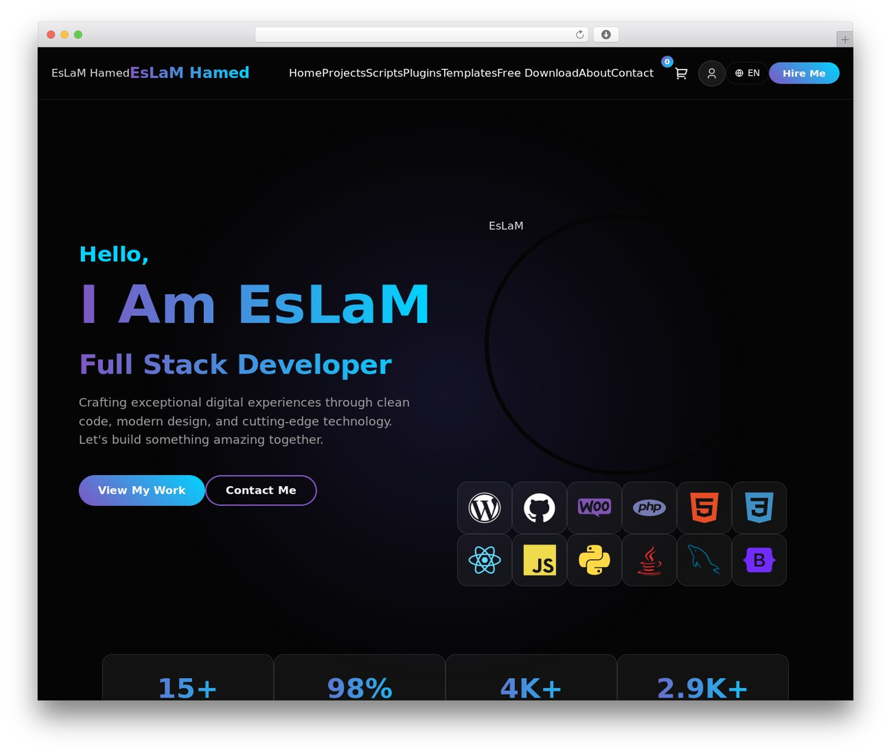 Theme WordPress DevPortfolio - eslamdev.com Theme WordPress DevPortfolio - eslamdev.com