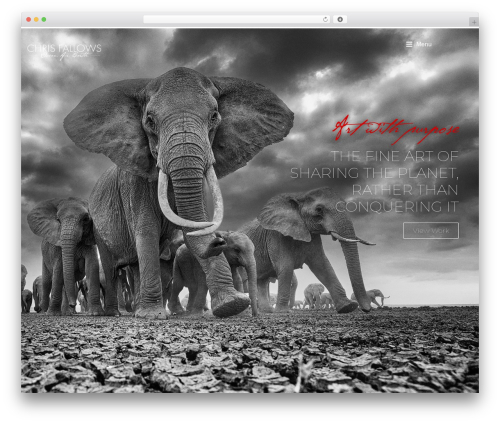 Photection – Easy image protection for WordPress (photection) free WordPress plugin - www.chrisfallows.com