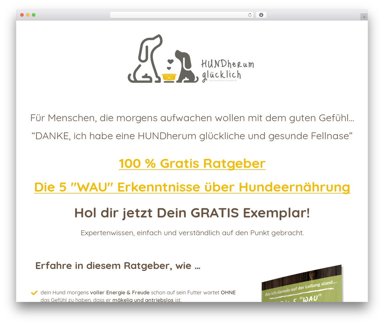 Thrive Theme Builder WP theme - hufu24-landing.de Thrive Theme Builder WP theme - hufu24-landing.de