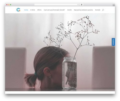 Bne flyout WordPress plugin - psychoterapia-bochnia.pl