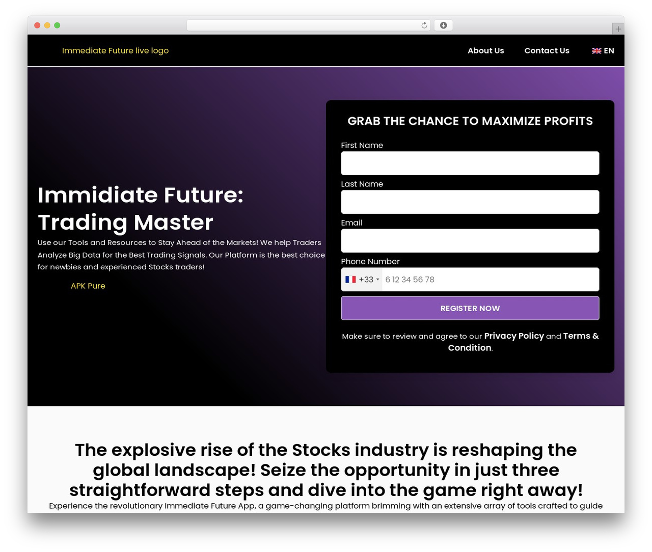 WordPress theme Hello Elementor - immidiatefuture.live