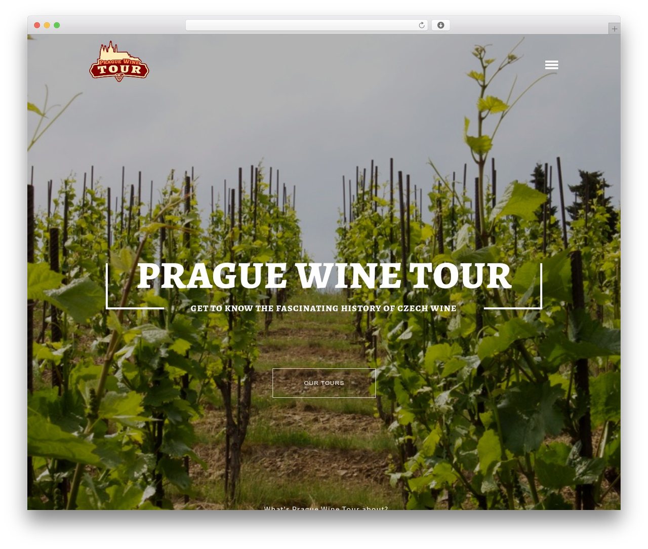 WordPress theme Squareroot - praguewinetour.com