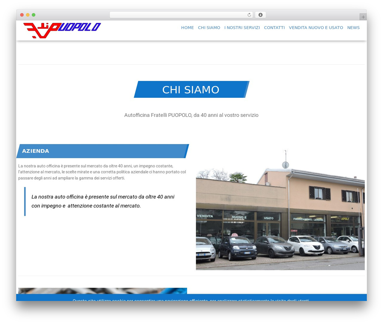AutoImage WordPress theme - puopolo.it