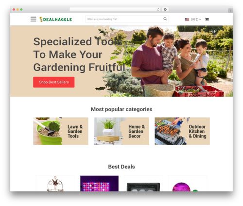 Alids WordPress plugin - dealhaggle.com