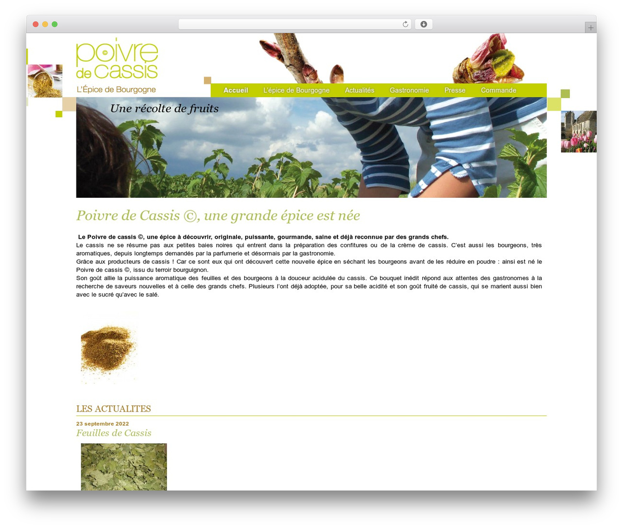 Poivre de Cassis top WordPress theme - poivredecassis.fr Poivre de Cassis top WordPress theme - poivredecassis.fr