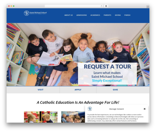 Buddhathemes core features WordPress plugin - saintmichael.com