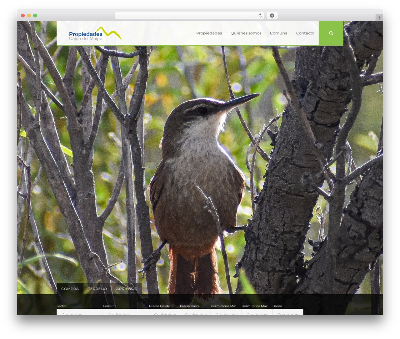 renter WordPress theme - propiedadescajondelmaipo.cl