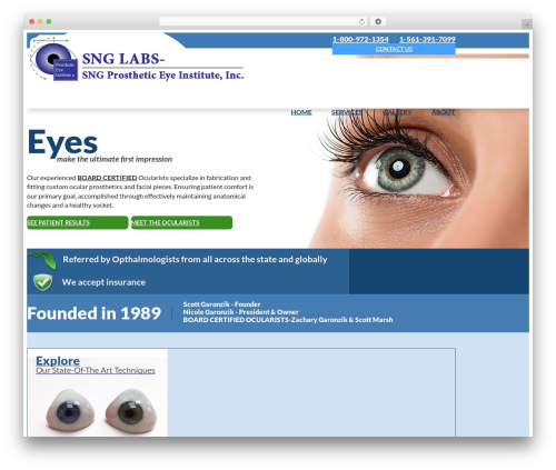 SNG WordPress theme - prostheticeye.com