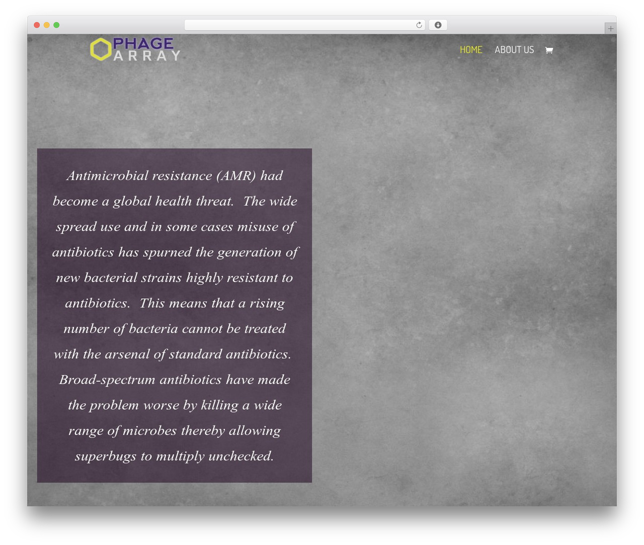 Theme WordPress Divi - phagearray.com