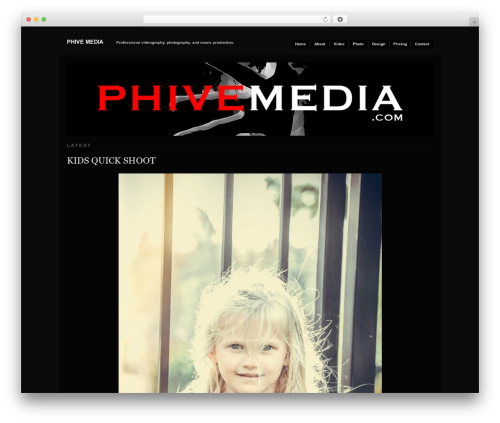 Theme WordPress Modularity Lite - phivemedia.com