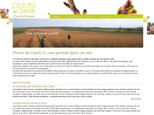 WordPress website theme Poivre de Cassis WordPress website theme Poivre de Cassis