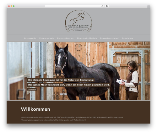 X WordPress theme - physio-osteo.de